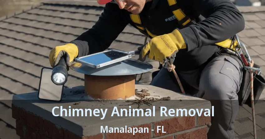 Chimney Animal Removal Manalapan - FL
