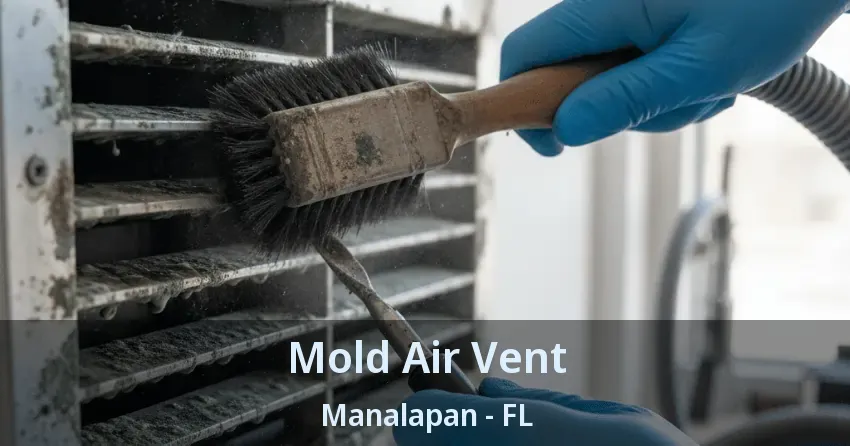 Mold Air Vent Manalapan - FL Mold Air Vent Manalapan - FL