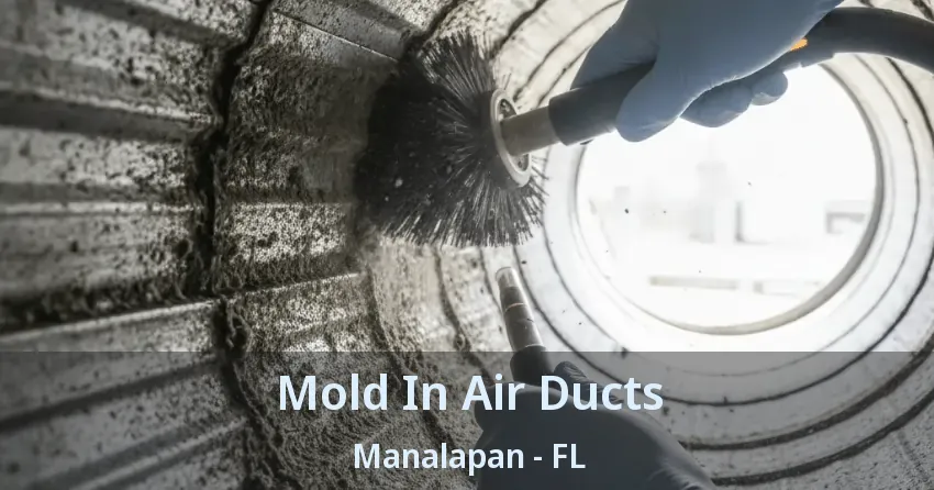 Mold In Air Ducts Manalapan - FL Mold In Air Ducts Manalapan - FL