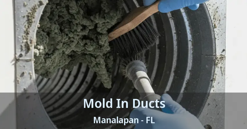 Mold In Ducts Manalapan - FL