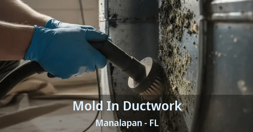 Mold In Ductwork Manalapan - FL
