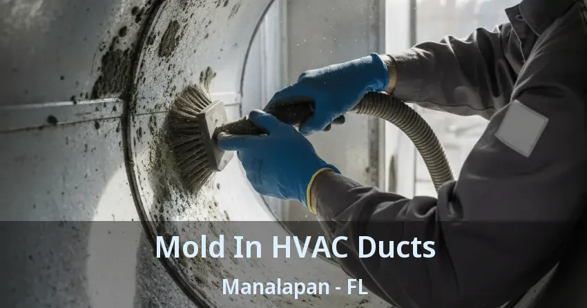 Mold In HVAC Ducts Manalapan - FL