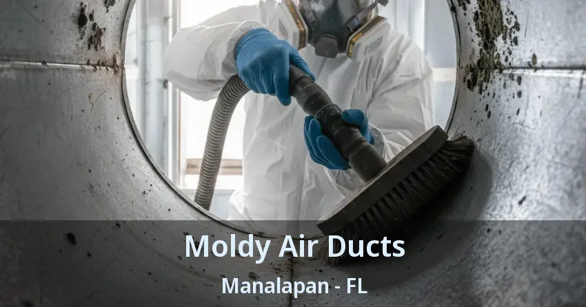 Moldy Air Ducts Manalapan - FL